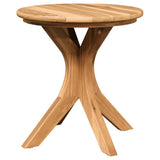vidaXL Bijzettafel Bruin 40 x 40 x 41 cm Massief Teakhout