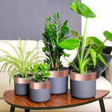 vidaXL Kopertape Koper 2000 x 3 cm Koper
