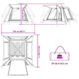 vidaXL Instant Tent met Rainfly voor 3 Personen met Snelle Bevrijding