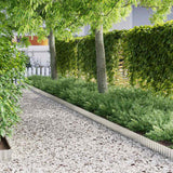 vidaxl Grasrand Zilver 1000 x 15 x 0.03 cm Gegalvaniseerd Staal