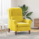 vidaXL Armchair Blue Velvet