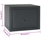 vidaXL Kluisdoos met slot Donkergrijs 23 x 17 x 17 cm Staal