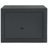 vidaXL Kluisdoos met slot Donkergrijs 23 x 17 x 17 cm Staal