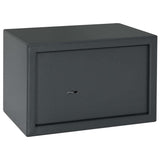 vidaXL Kluisdoos met slot Donkergrijs 23 x 17 x 17 cm Staal