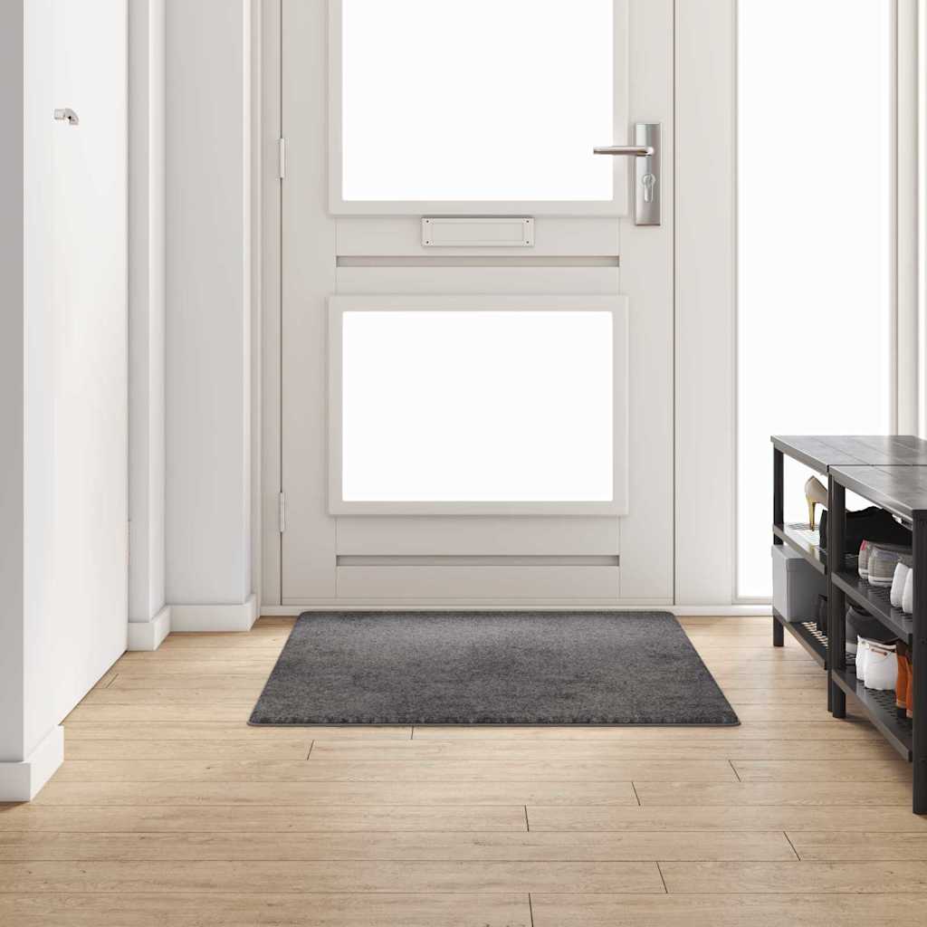 vidaXL Tapijt Loper Grijs 50 x 100 cm 100% Polypropyleen Tuft