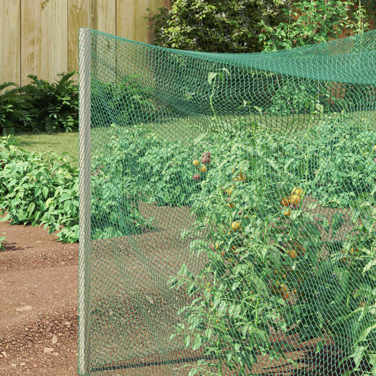 vidaXL Bird Protection Net Green 2 x 5 m Polyethylene