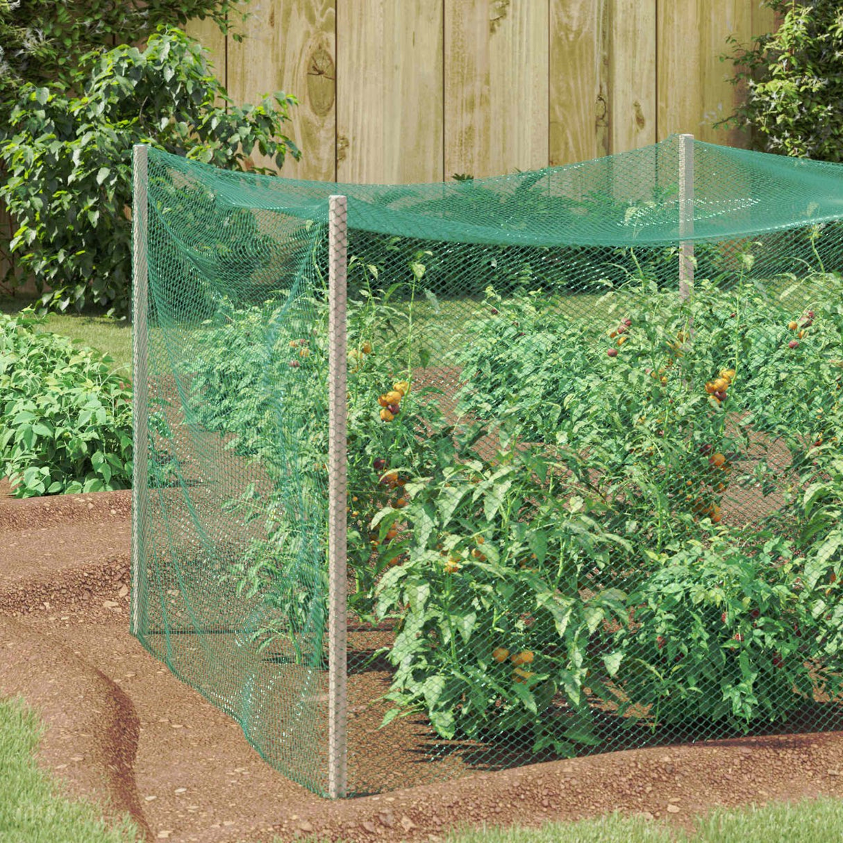 vidaXL Bird Protection Net Green 2 x 5 m Polyethylene