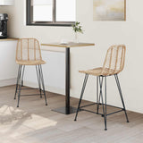vidaXL Barkruk 2 pcs Naturel 44,5 x 54,5 x 97,5 cm Riet en Ijzer
