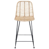 vidaXL Barkruk 2 pcs Naturel 44,5 x 54,5 x 97,5 cm Riet en Ijzer