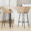 vidaXL Barkruk 2 pcs 55 x 52 x 92 cm Riet en Ijzer