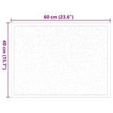 vidaXL Deurmat Antraciet 60 x 40 x 1.2 cm Teddy Stof
