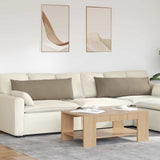 vidaXL Zitkussens 2 pcs Taupe 60 x 40 cm Stof