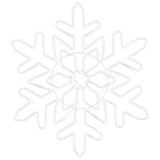 vidaXL Kerst sneeuwvlok met 156 LED Blauw 55,5 x 55,5 x 0,75 cm PVC