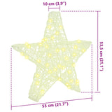 vidaXL 3D Ster met 50 LED Warmwit 55 x 53,5 x 10 cm Acryl