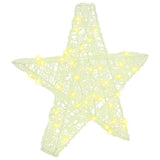 vidaXL 3D Ster met 50 LED Warmwit 55 x 53,5 x 10 cm Acryl