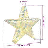 vidaXL 3D Ster met 50 LED Warmwit 55 x 52.5 x 9 cm PET