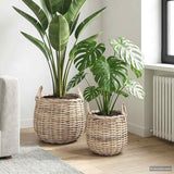 vidaXL Plantmand met opslag 2 pcs Grijs Lacak Riet
