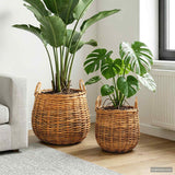 vidaXL Plantmand met opslag 2 pcs Grijs Lacak Riet