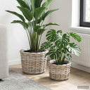 vidaXL Plant Basket with Storage 2 pcs Grey Kubu Rattan
