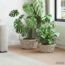 vidaXL Planter Basket with Storage 2 pcs Grey Lacak Reed