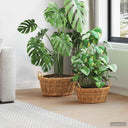 vidaXL Planter Basket with Storage 2 pcs Grey Lacak Reed