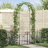 vidaXL Tuinboog met slot Zwart 102 x 50 x 218 cm