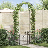 vidaXL Tuinboog met slot Zwart 102 x 50 x 218 cm