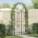 vidaXL Tuinboog Effen Zwart 115 x 37 x 226 cm