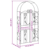 vidaXL Tuinboog Effen Zwart 115 x 37 x 226 cm