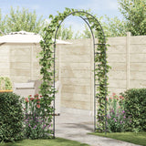 vidaXL Tuinboog Bloemen Zwart 115 x 37 x 231 cm