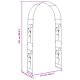 vidaXL Tuinboog Bloemen Zwart 115 x 37 x 231 cm