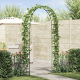 vidaXL Tuinboog Bloemen Zwart 115 x 37 x 231 cm
