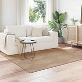 vidaXL Vloerkleden Rechthoekig AGIRA Naturel 150 x 80 cm Polyester