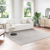 vidaXL Vloerkleden Rechthoekig LUGO Crème 150 x 80 cm Polyester