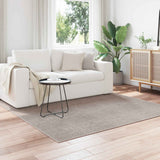 vidaXL Vloerkleden Rechthoekig LUGO Crème 150 x 80 cm Polyester