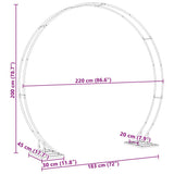 vidaXL Wedding Arch White 220 x 45 x 200 cm Steel