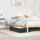 vidaXL Storage Box with Transparent Top Window Anthracite