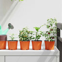 vidaXL Bloempot 50 pcs Terracotta Ø 15 x 12,5 cm Kunststof
