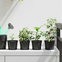 vidaXL Bloempot 50 pcs Terracotta Ø 15 x 12,5 cm Kunststof