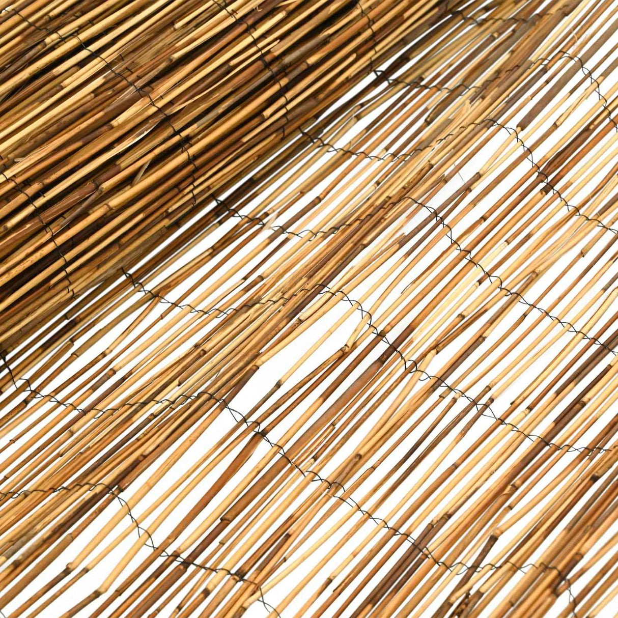 vidaXL Tuinhek Gecarboniseerd 500 x 100 cm Riet