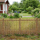vidaXL Tuinhek Gecarboniseerd 500 x 100 cm Riet