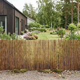 vidaXL Tuinhek Gecarboniseerd 500 x 100 cm Riet
