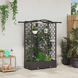 vidaXL Verhoogd Bed met Trellis en Dak Bruin 124 x 40 x 129 cm PP