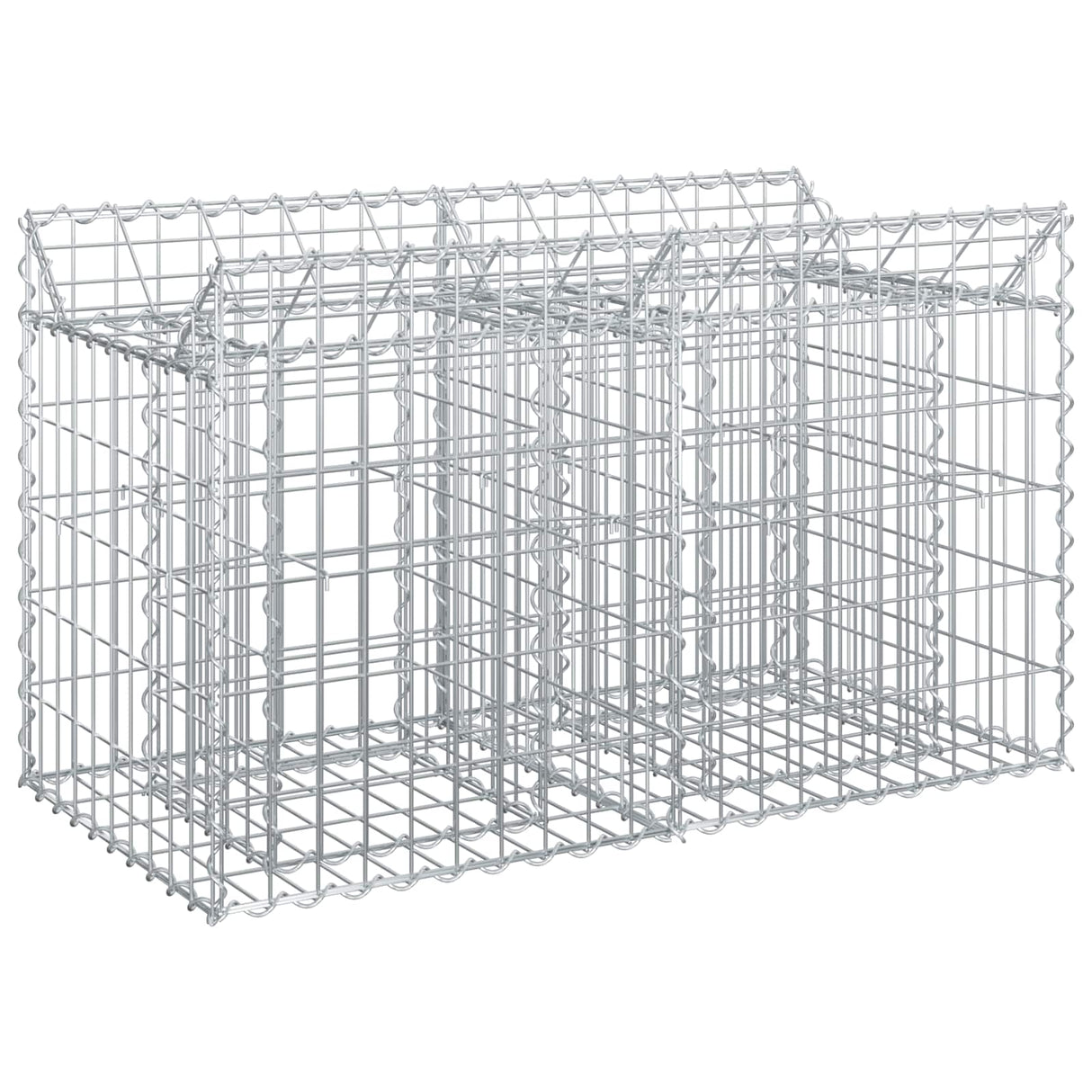 vidaXL Gabion verhoogd bed 2 pcs Zilver 300 x 50 x 60 cm
