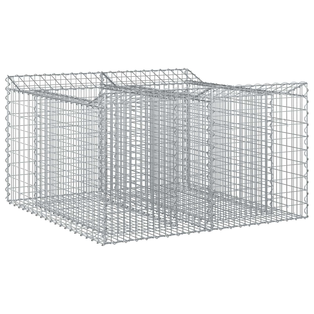 vidaXL Gabion verhoogd bed 2 pcs Zilver 300 x 50 x 60 cm