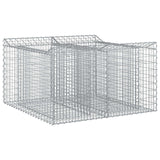 vidaXL Gabion verhoogd bed 2 pcs Zilver 300 x 50 x 60 cm
