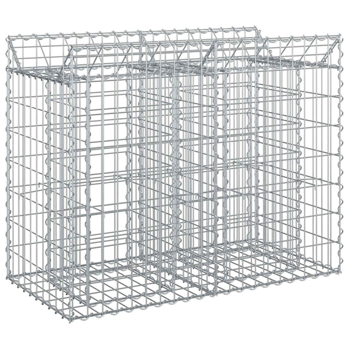 vidaXL Gabion verhoogd bed 2 pcs Zilver 300 x 50 x 60 cm