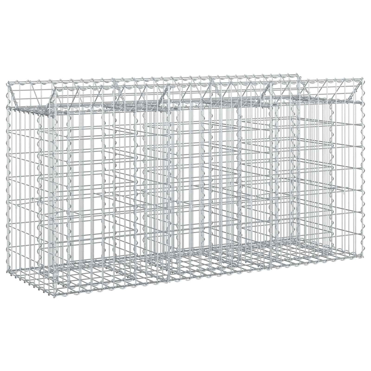vidaXL Gabion verhoogd bed 2 pcs Zilver 300 x 50 x 60 cm