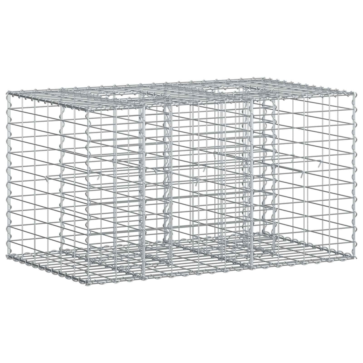 vidaXL Gabion verhoogd bed 2 pcs Zilver 260 x 60 x 55 cm