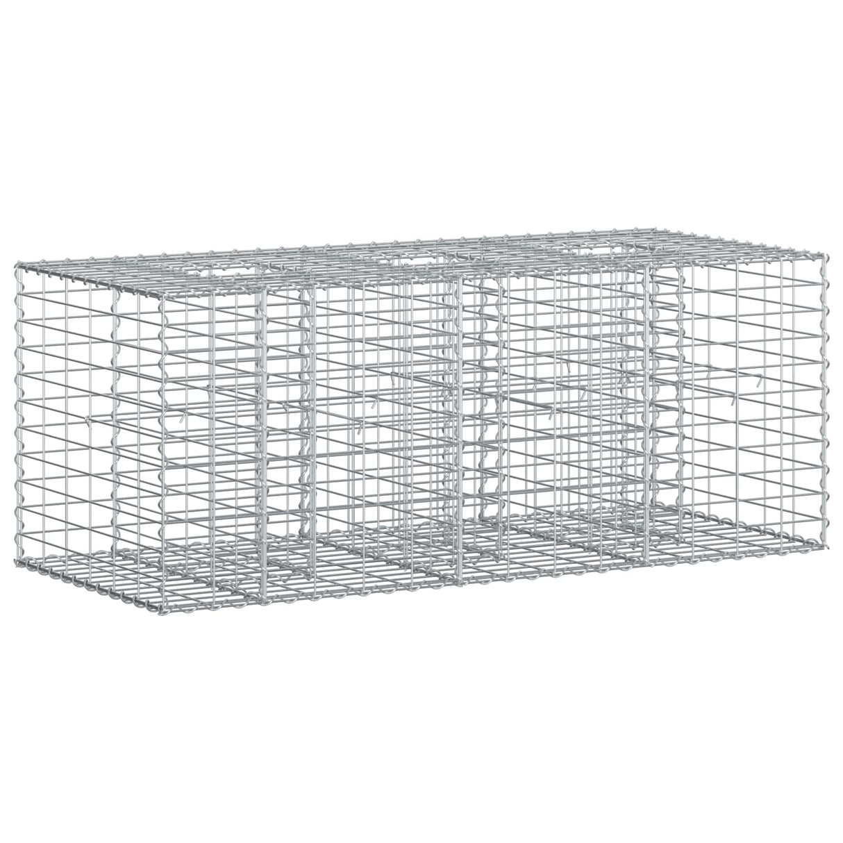 vidaXL Gabion verhoogd bed 2 pcs Zilver 260 x 60 x 55 cm